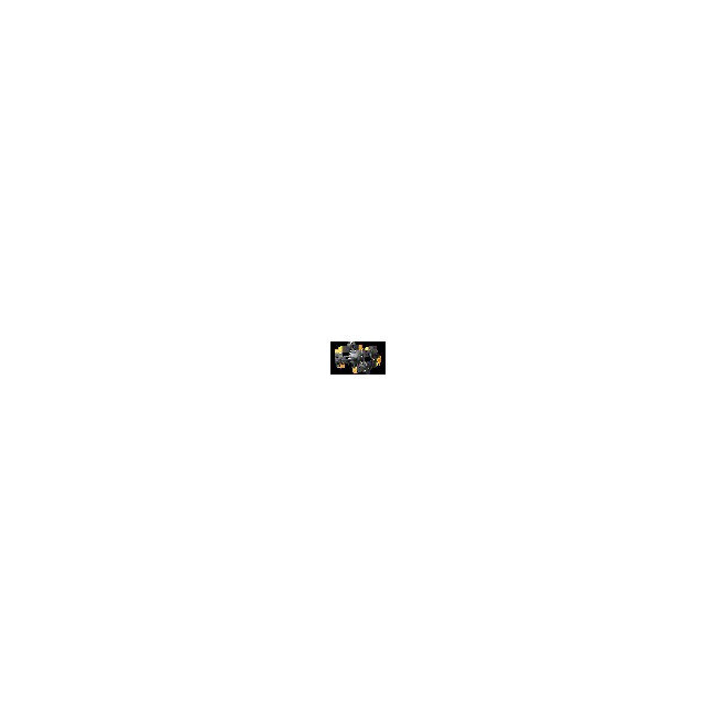 DJI Matrice 30T (M30T)