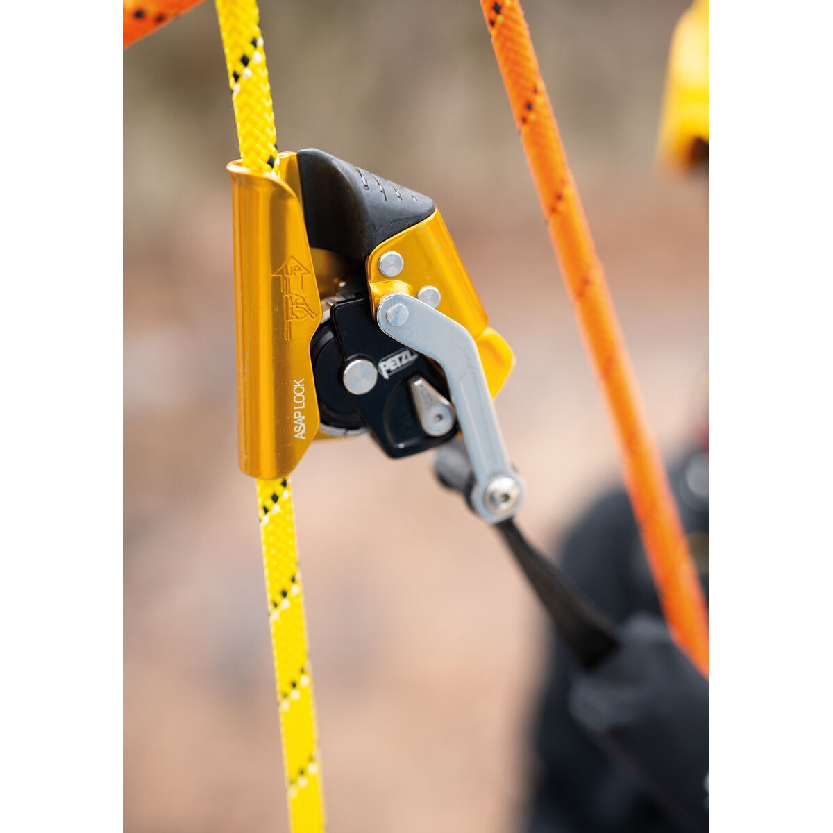 Petzl-linecard_Petzl_Petzl_ASAP_Lock-02.jpg