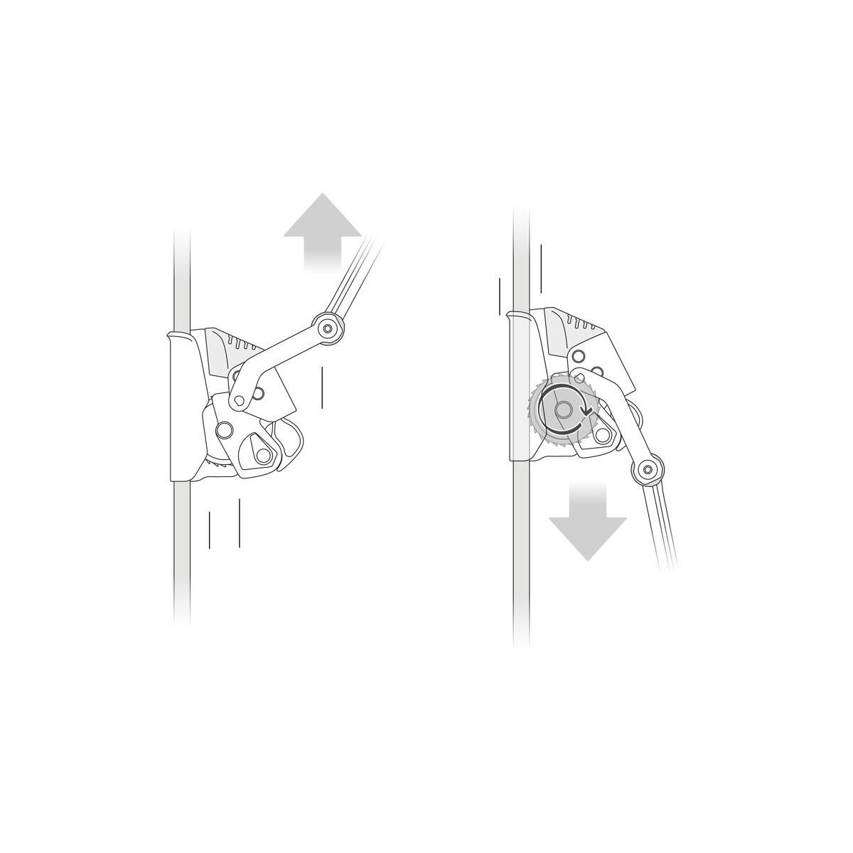 Petzl-linecard_Petzl_Petzl_ASAP_Lock-04.jpg