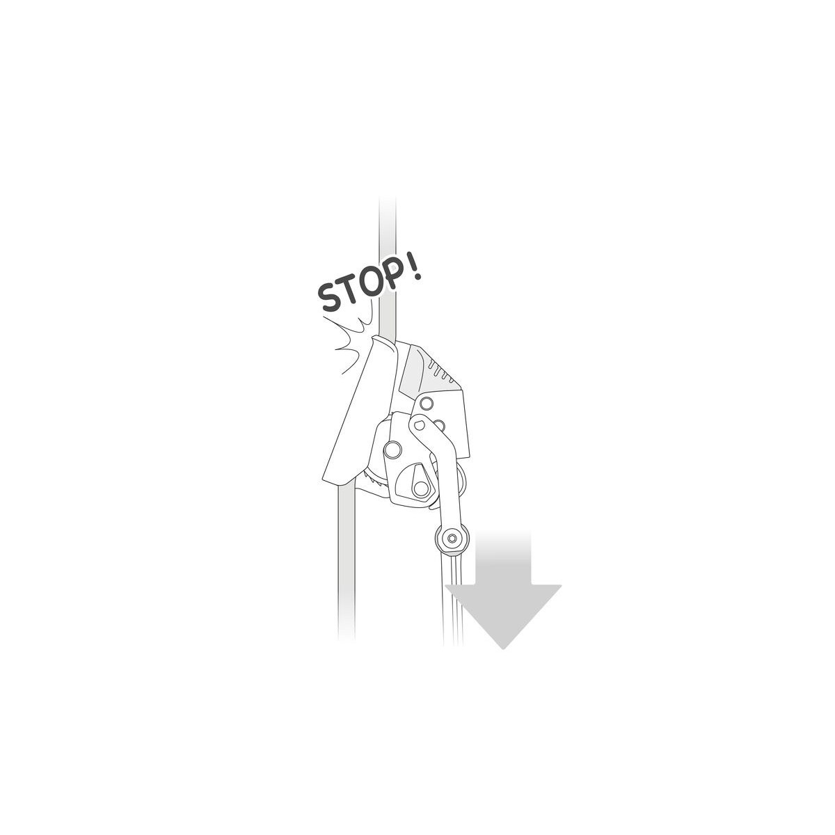 Petzl-linecard_Petzl_Petzl_ASAP_Lock-05.jpg