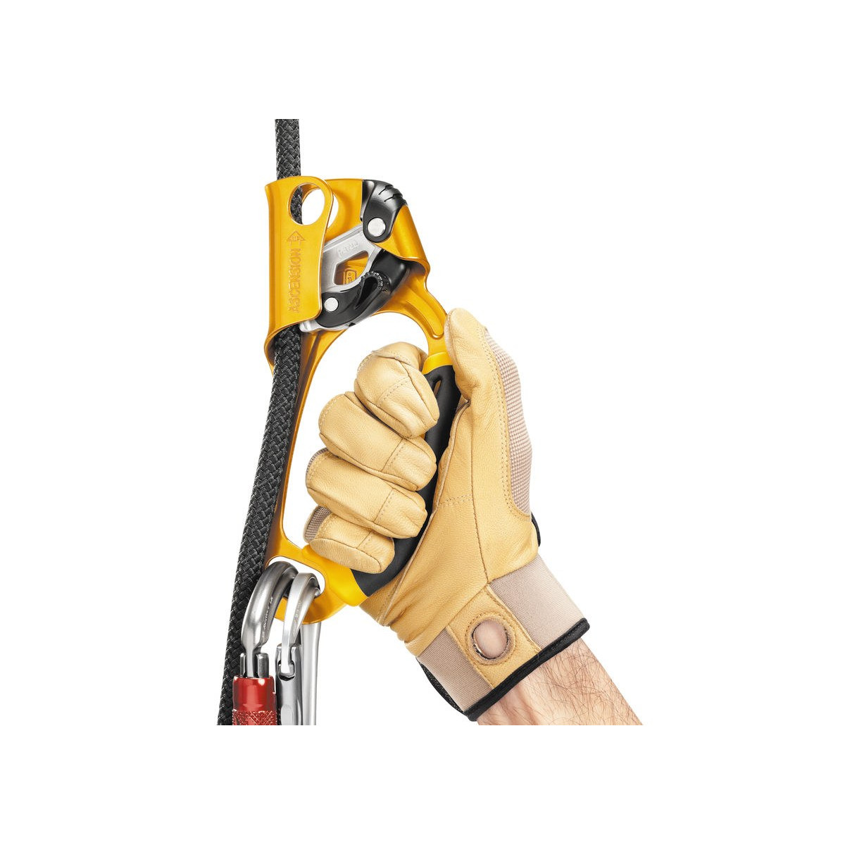 Petzl-linecard_Petzl_Petzl_Ascension-02.jpg
