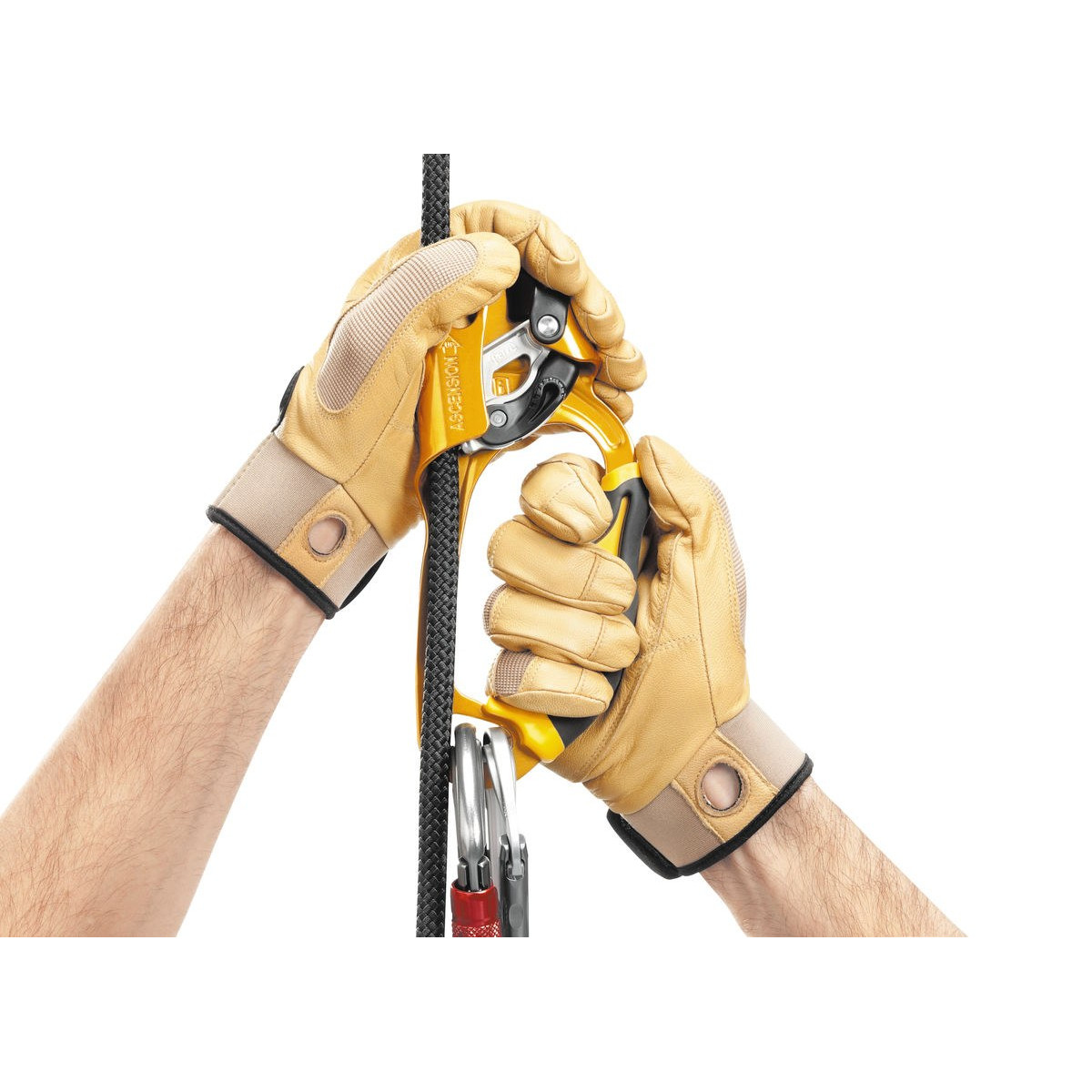 Petzl-linecard_Petzl_Petzl_Ascension-03.jpg